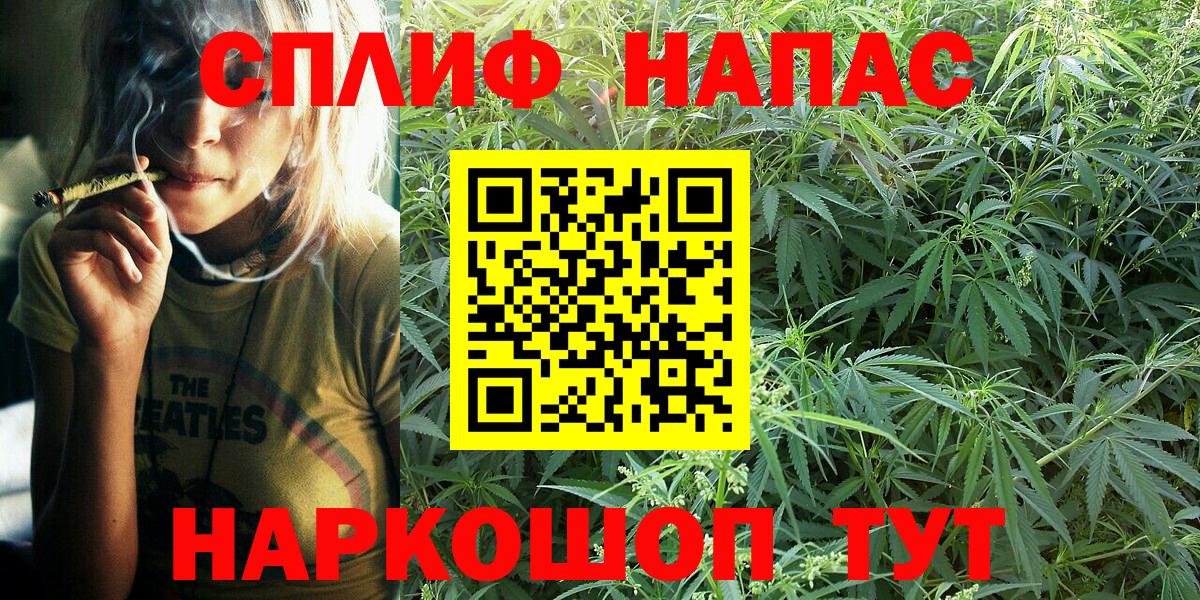 Бошки Шишки SATIVA & INDICA  Бошки Шишки планчик  Вход с VPN  Избербаш  Бошки марихуана MAZAR 